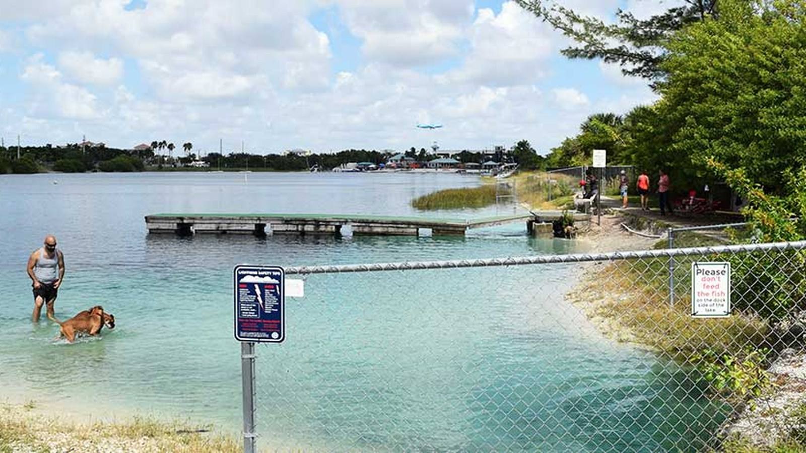Dogs swimming and playing in the freshwater lake at Performance Pups Tigertail Lake dog park in Dania Beach, Florida