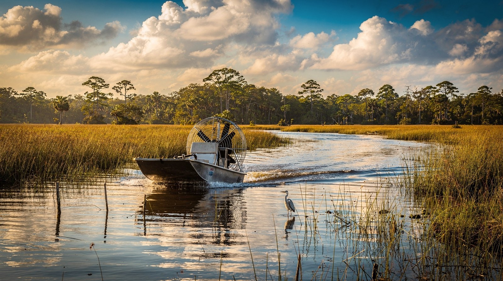 An Everglades airboat gliding across a shallow waterway surrounded by sawgrass marshes at golden hour, with a heron standing in the foreground
